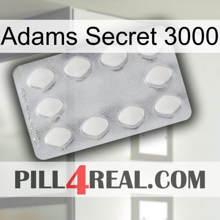 Adams Secret 3000 16